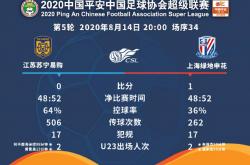 雷速体育网页版-江苏苏宁对阵上海绿地申花，双方战绩互有交错的简单介绍