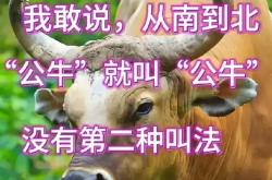 雷速体育网页版-关于公牛遭遇连败，仍苦于东部垫底的信息